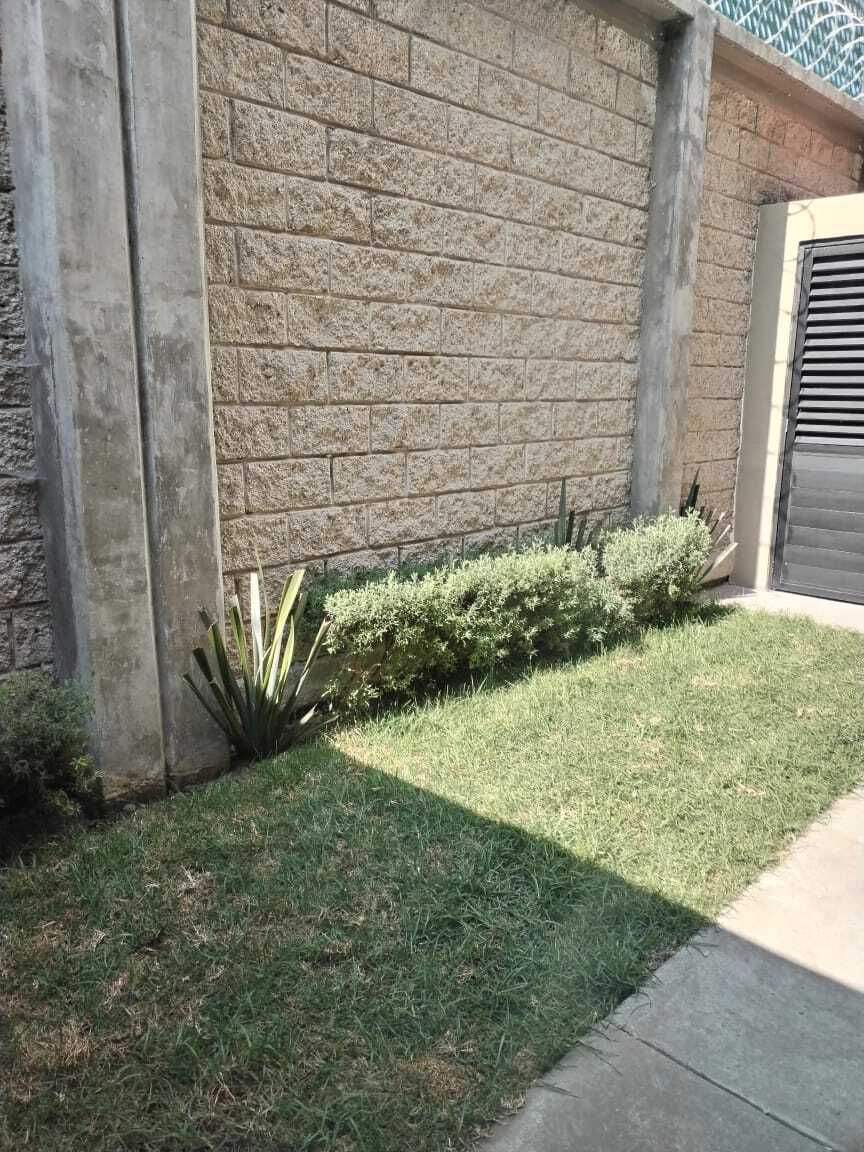 15 de 16