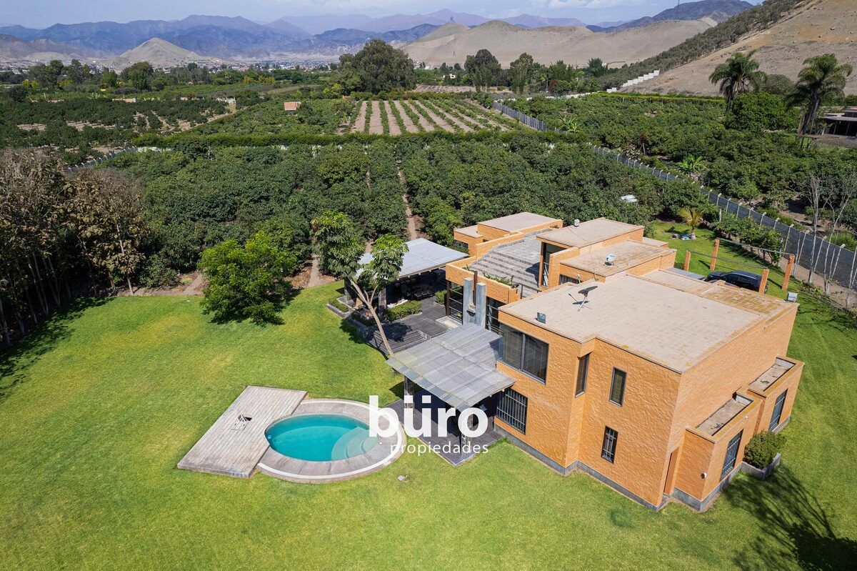 Casa, piscina y planatción de  paltos, foto 2 de 30