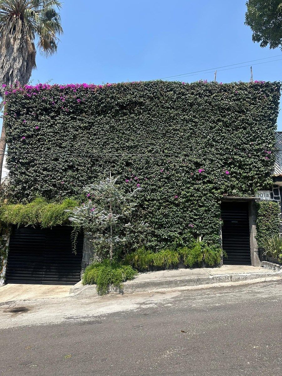 50 de 50