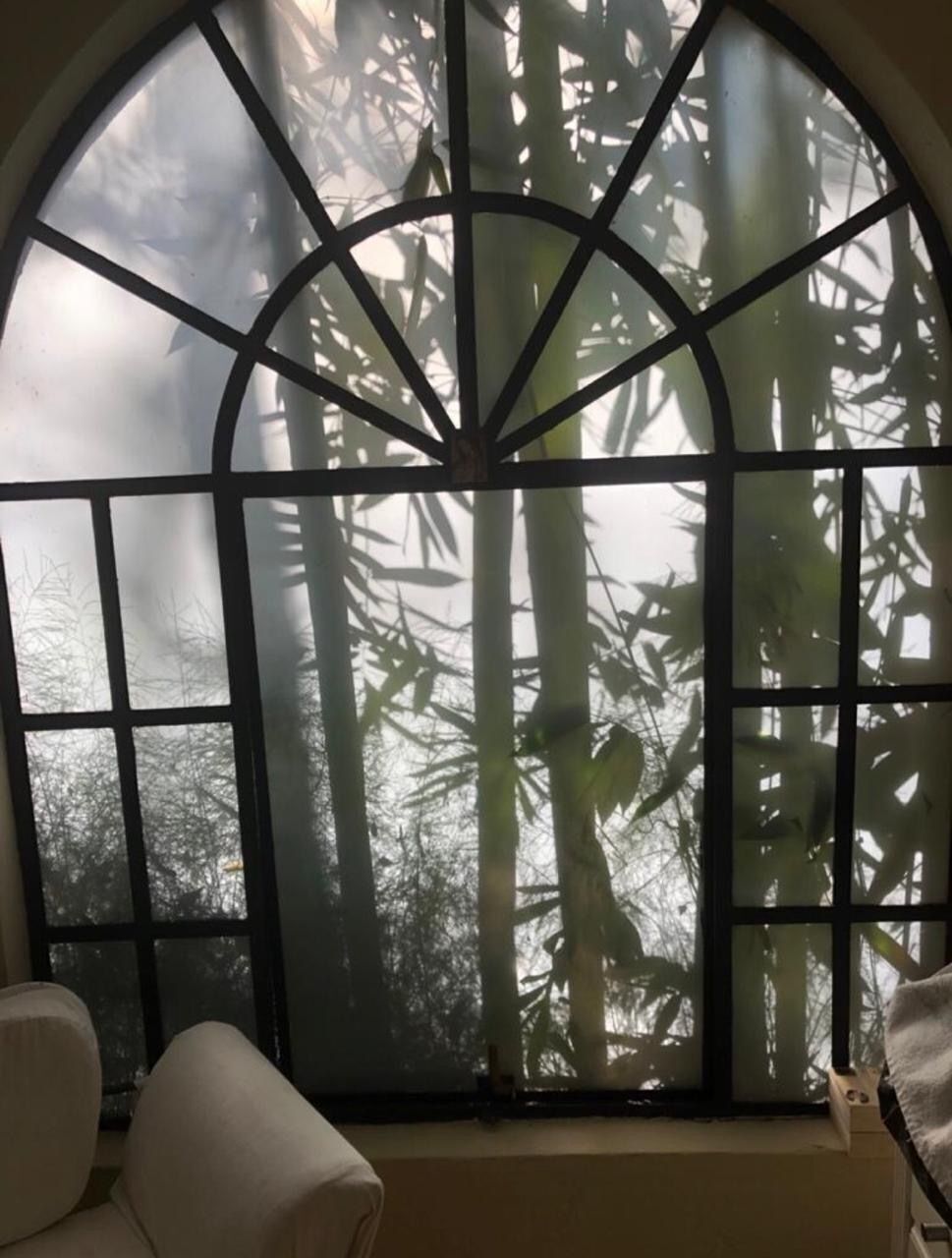 Departamento en Lomas de Virreyes, Miguel Hidalgo, foto 6 de 12