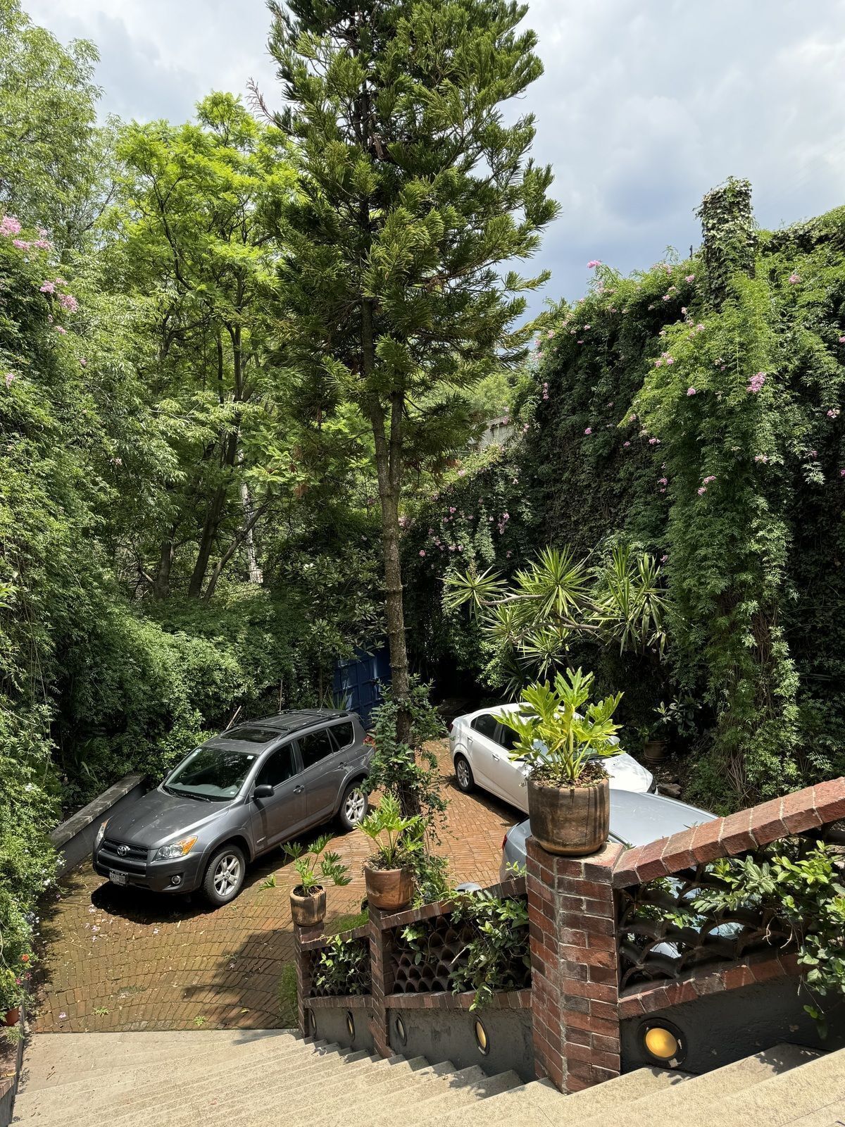 Departamento en Lomas de Virreyes, Miguel Hidalgo, foto 12 de 12