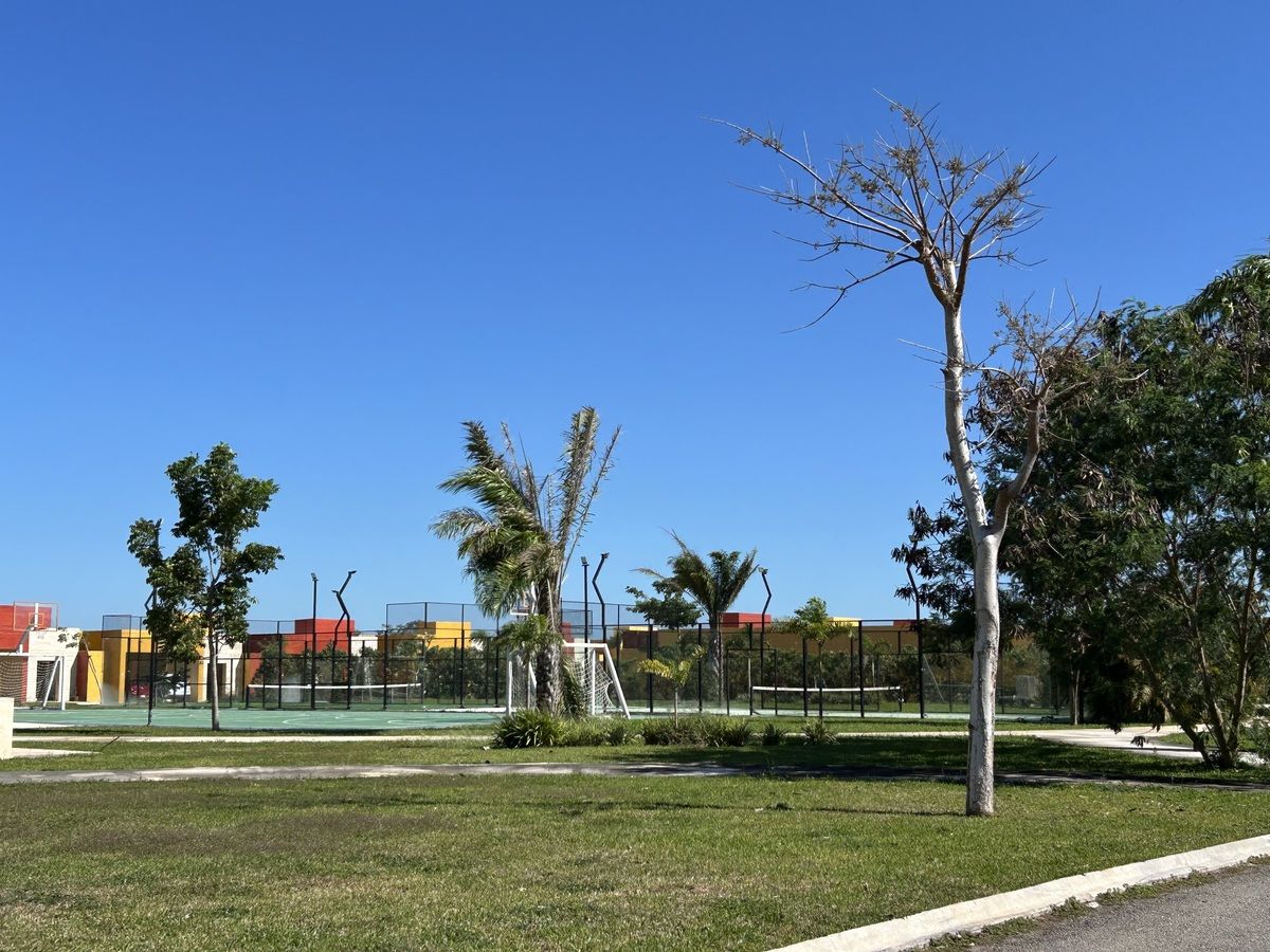 4 de 28