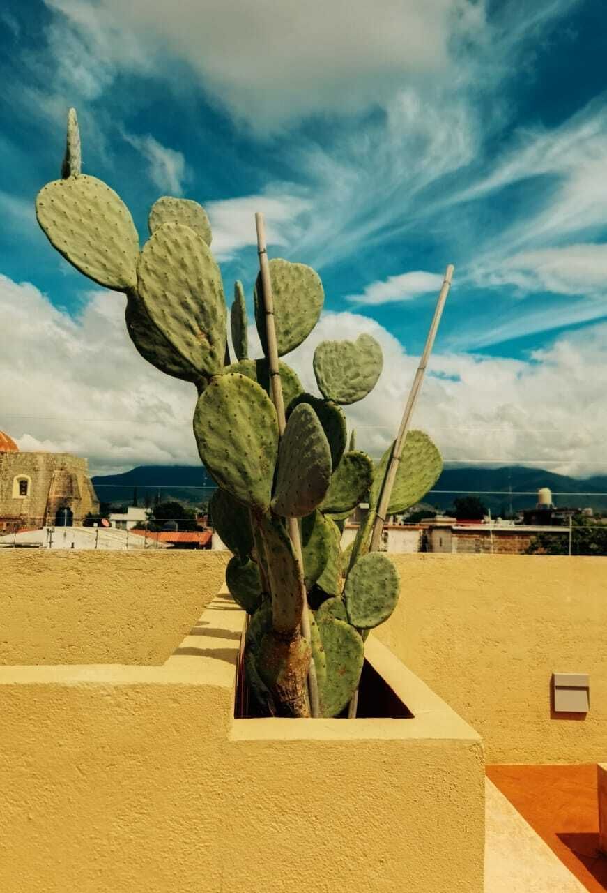 5 of 6