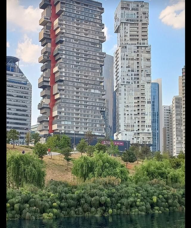 4 de 14