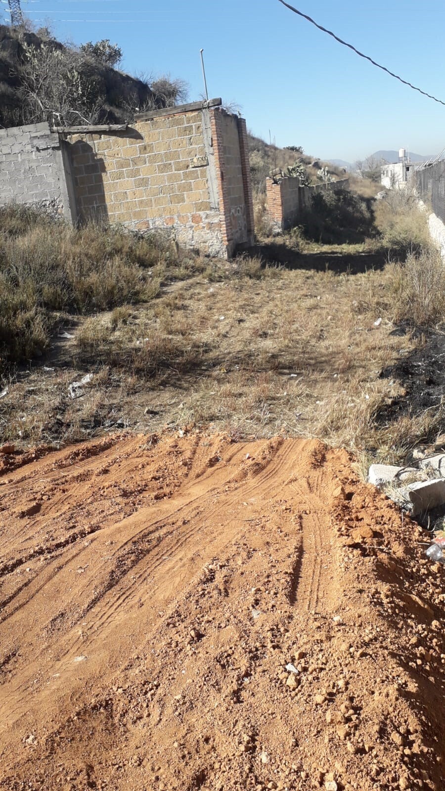 5 de 12