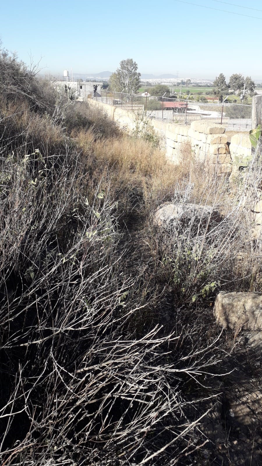 8 de 12