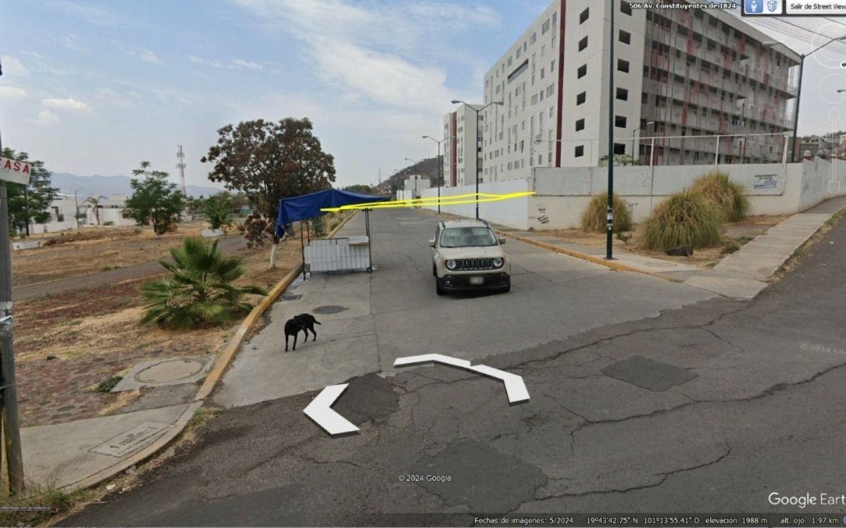Imagen 3 de 8