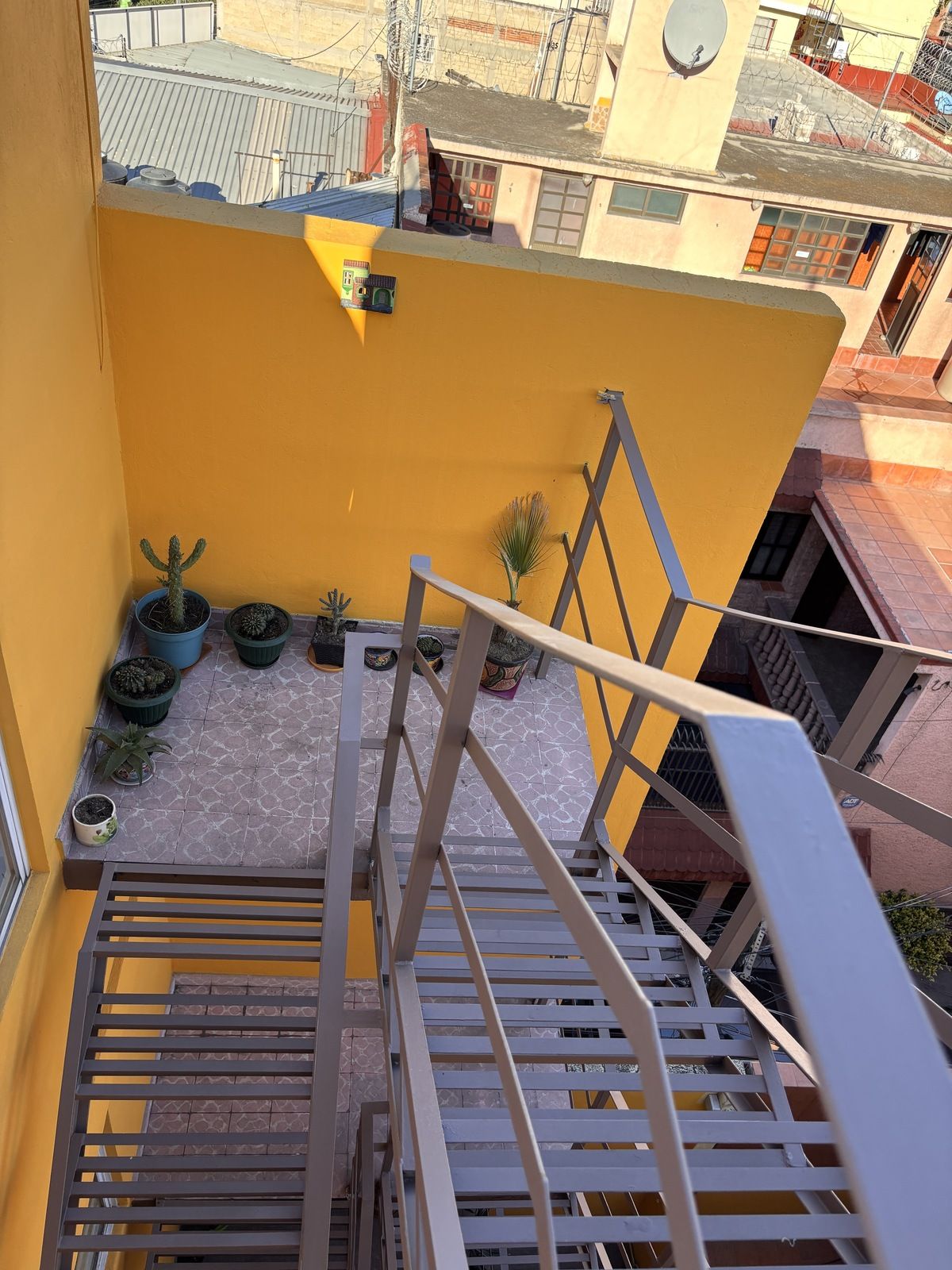 1 de 24
