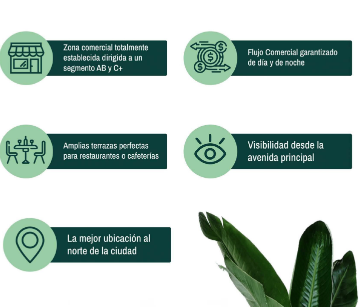 22 de 27