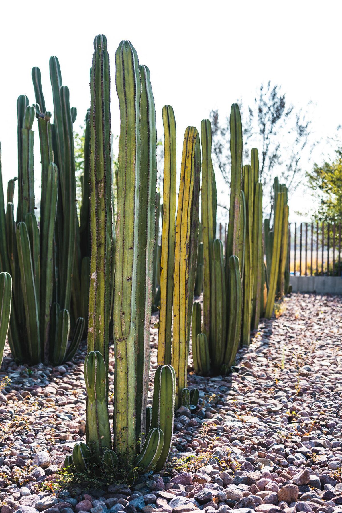 Venta de Terrenos en fraccionamiento  en Corregidora, Querétaro $980,000