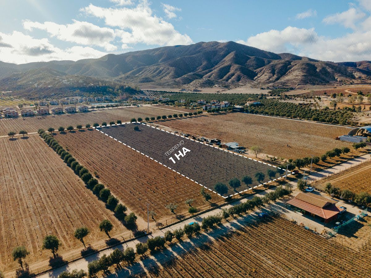 Terreno agrícola en venta de 1 hectárea – vecino de El Cielo