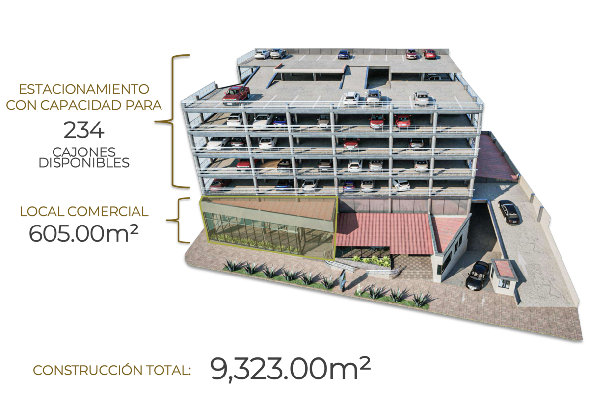 Imagen 5 de 10