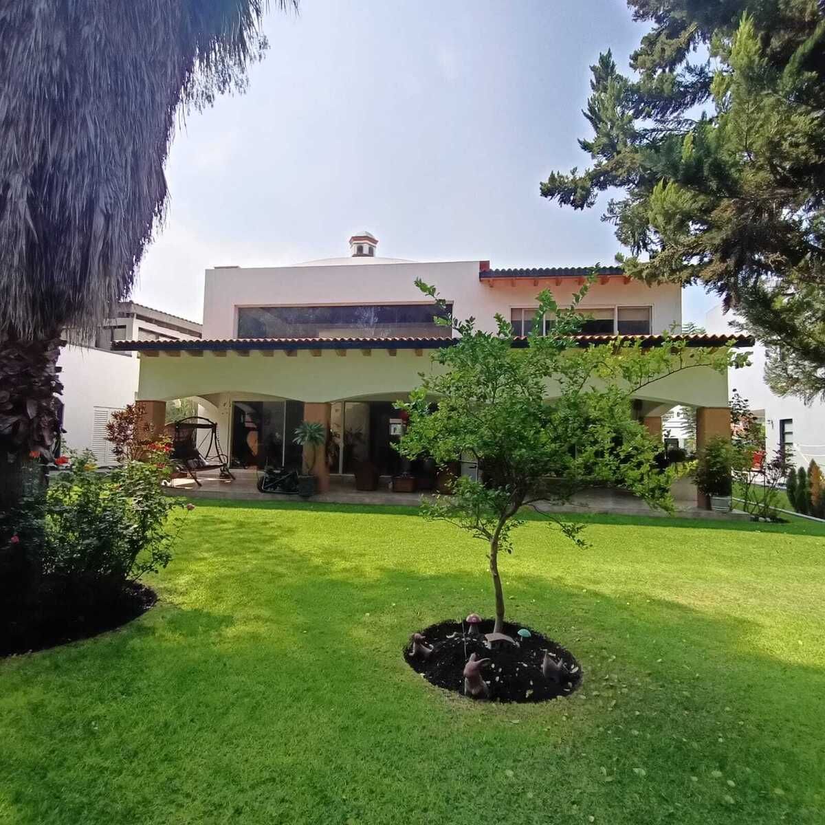 Terraza y jardín