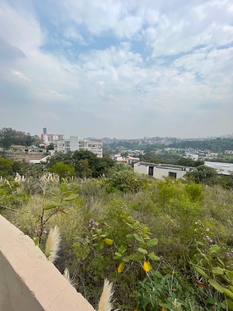 10 de 29
