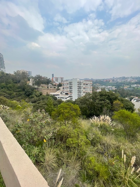 13 de 29
