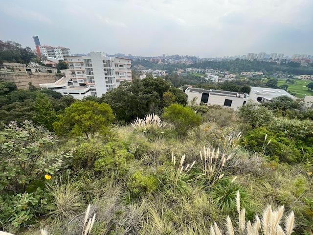 17 de 29