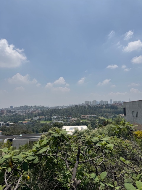 26 de 29