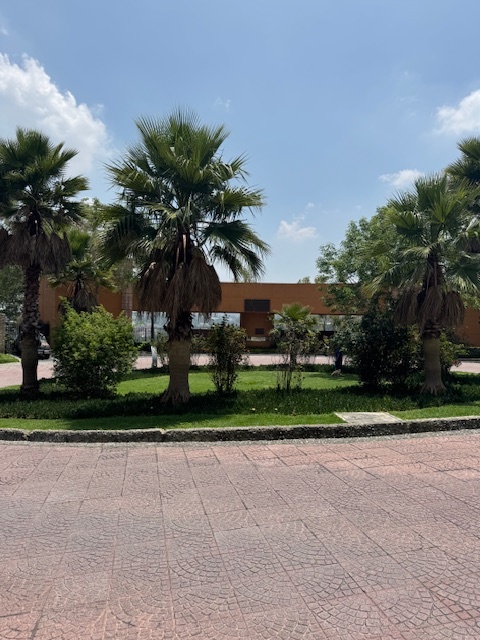 1 de 29