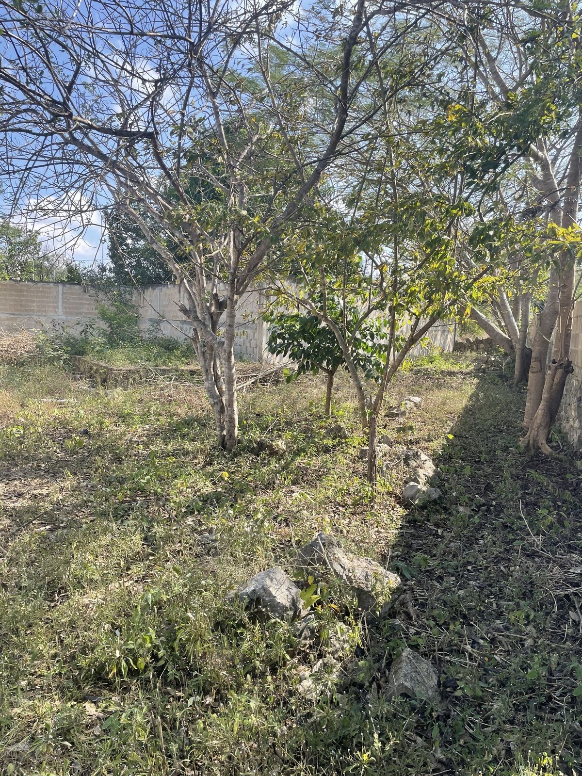2 de 12