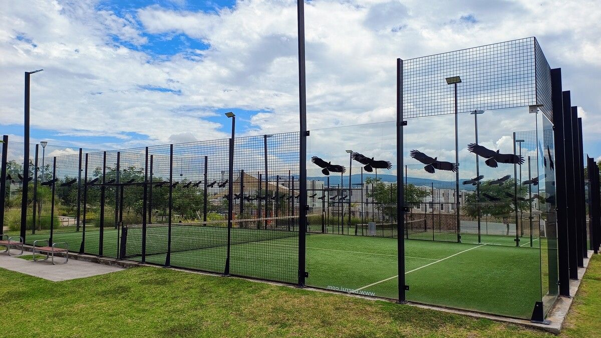 23 of 25: Canchas de padel