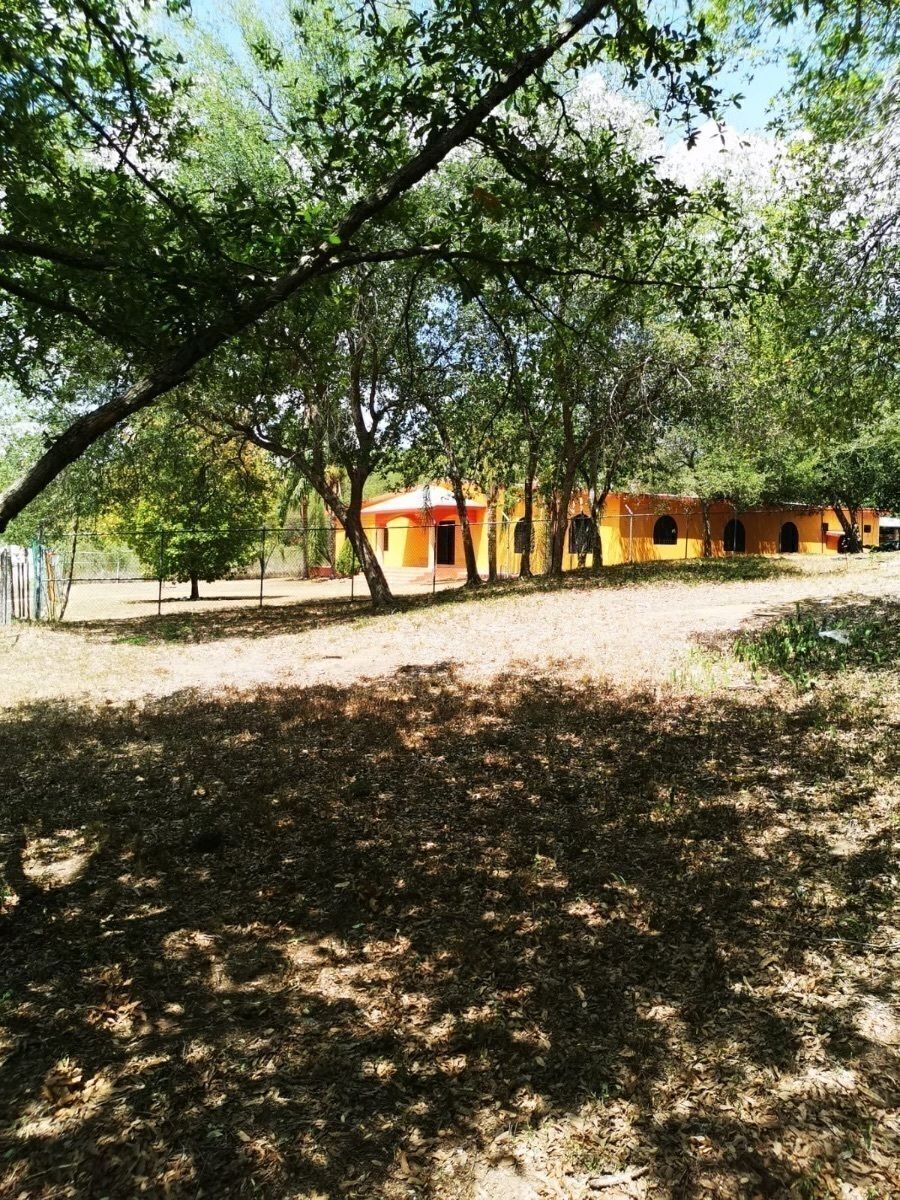 Imagen 4 de 4