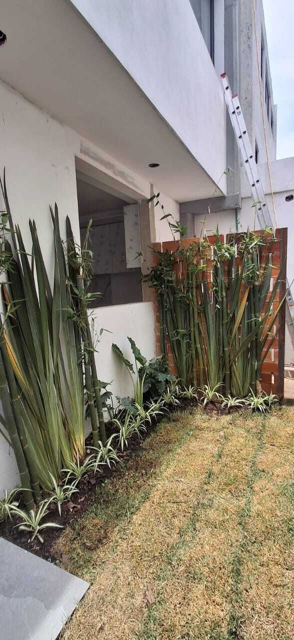 30 de 30