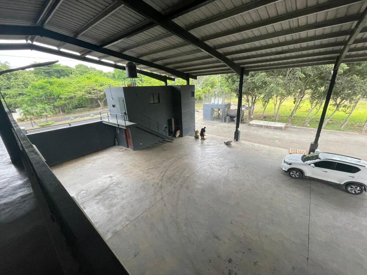 25 de 41
