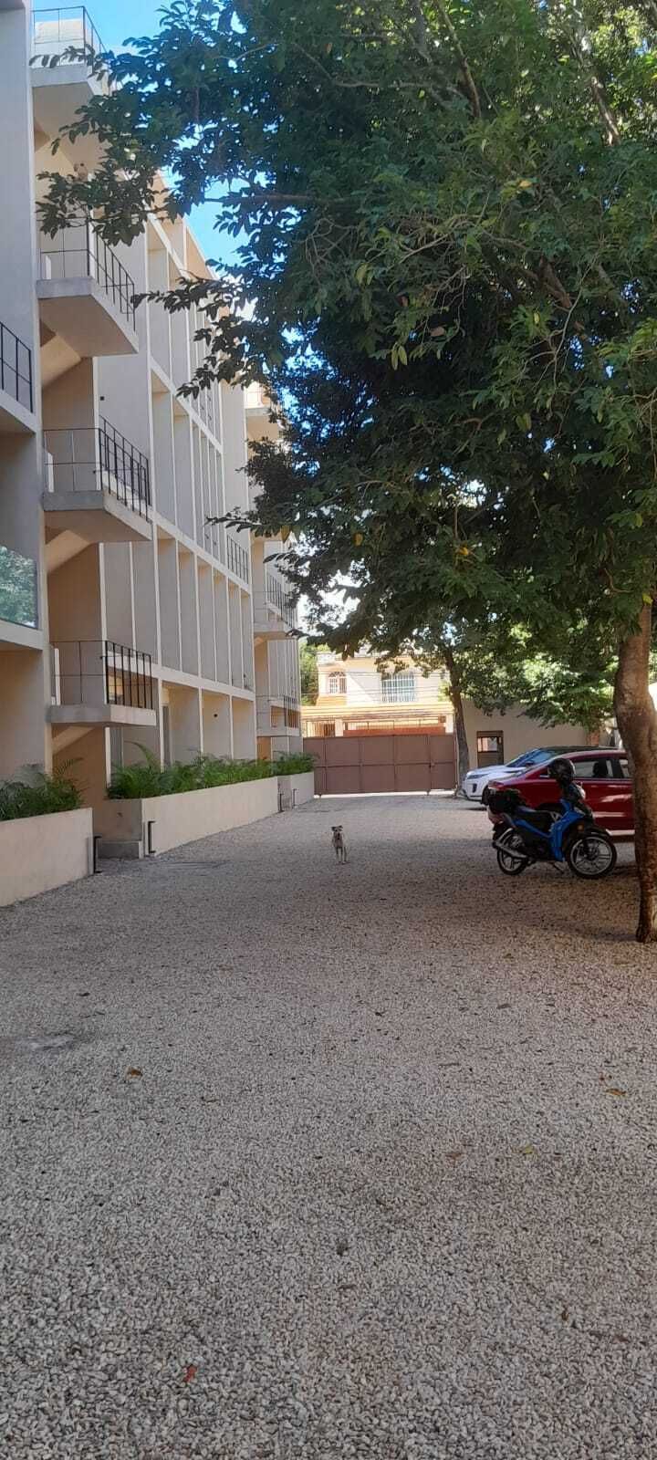 4 de 21