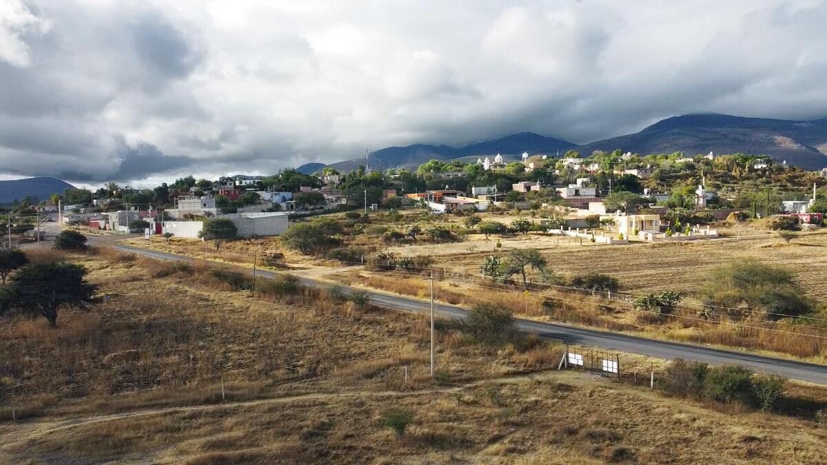 20 de 24