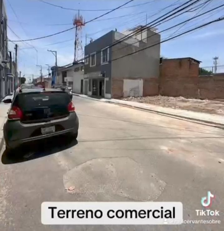 Imagen 3 de 7