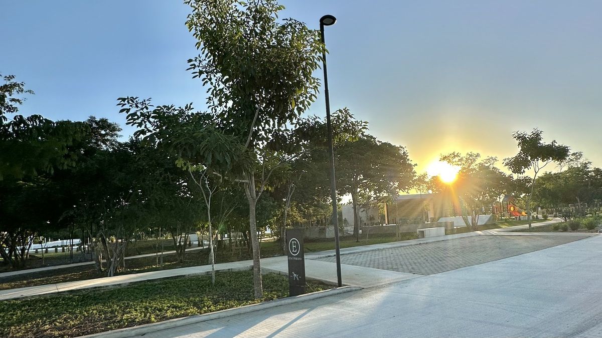 1 de 3