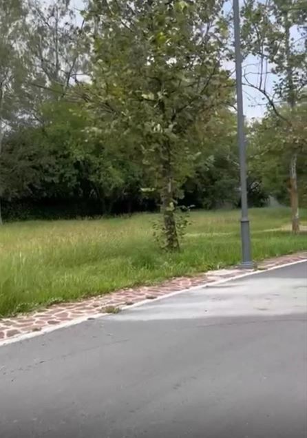 3 de 5