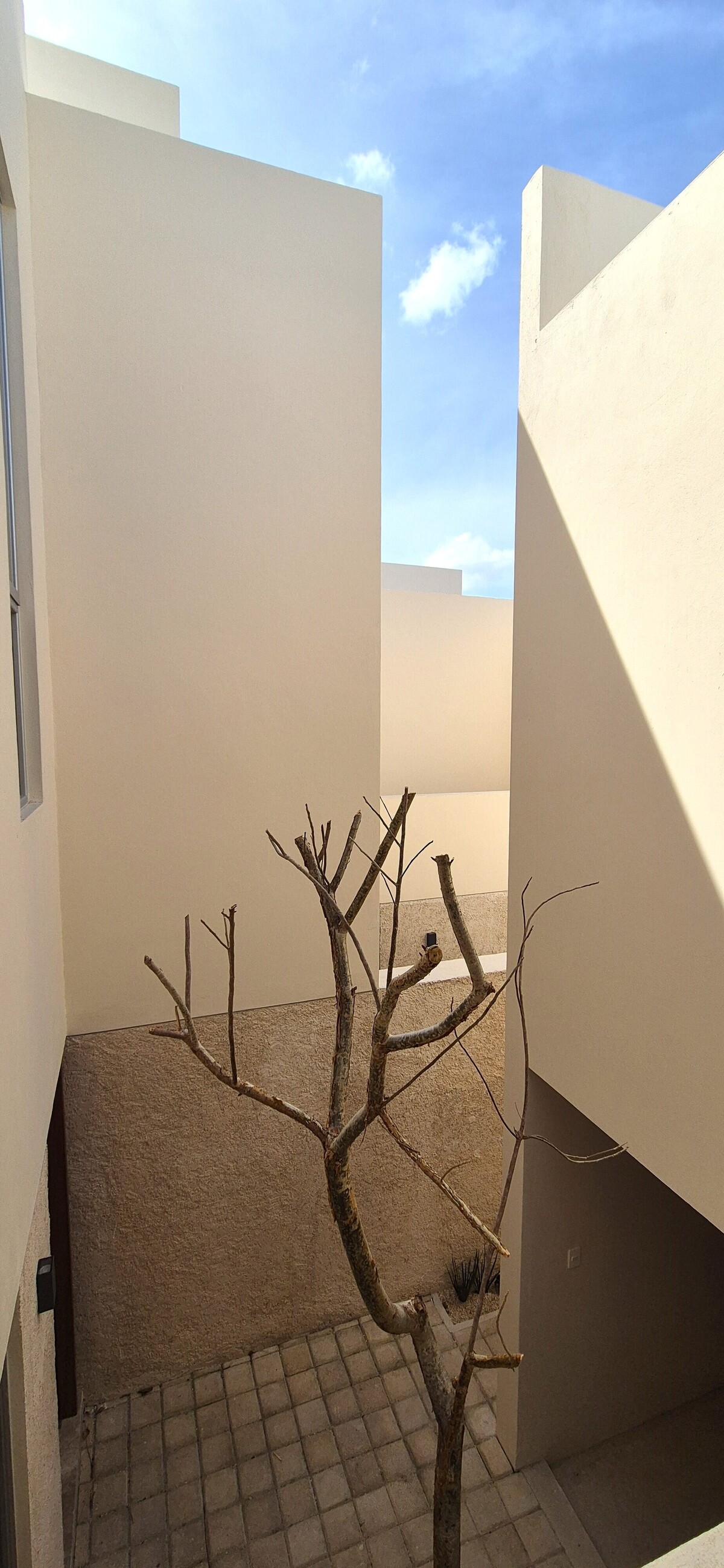 12 de 16: PATIO INTERIOR