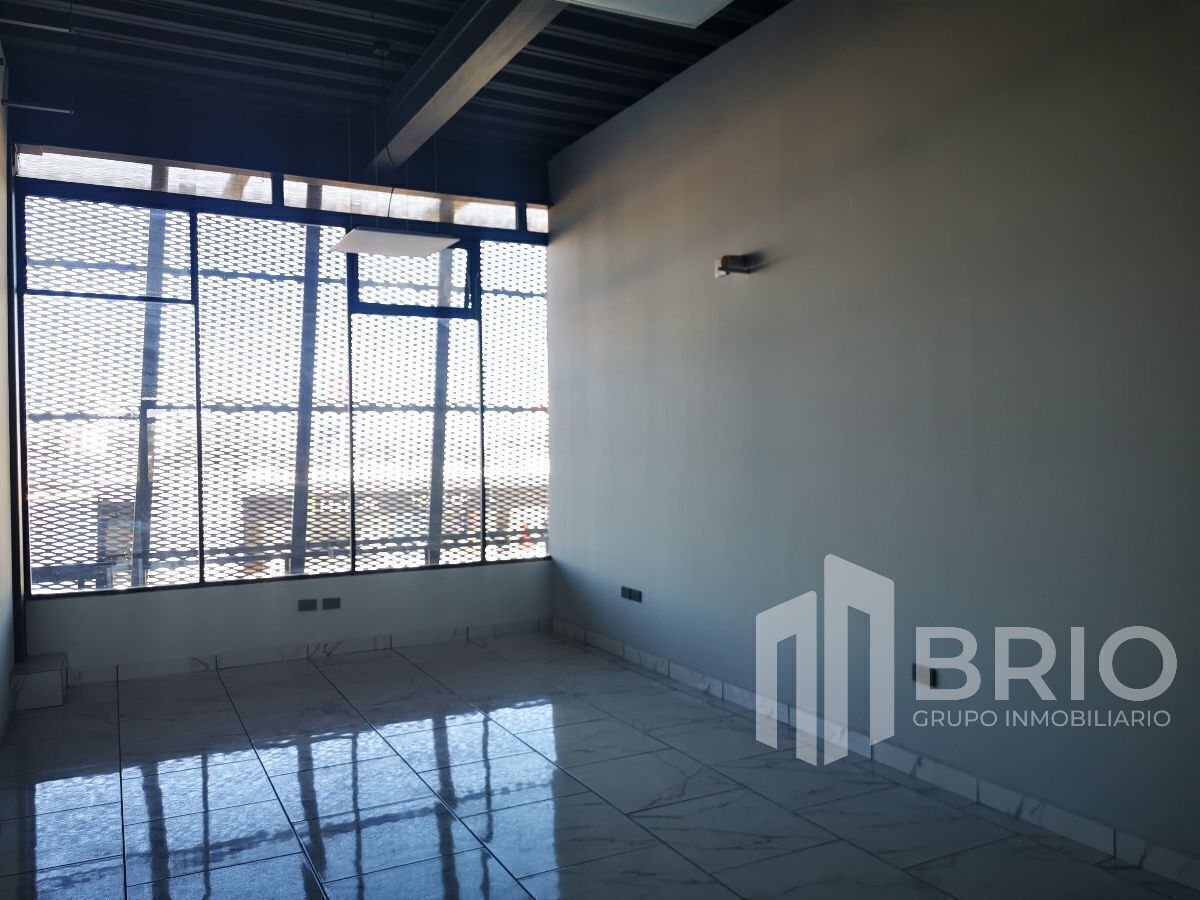 3 de 11: Area rentable