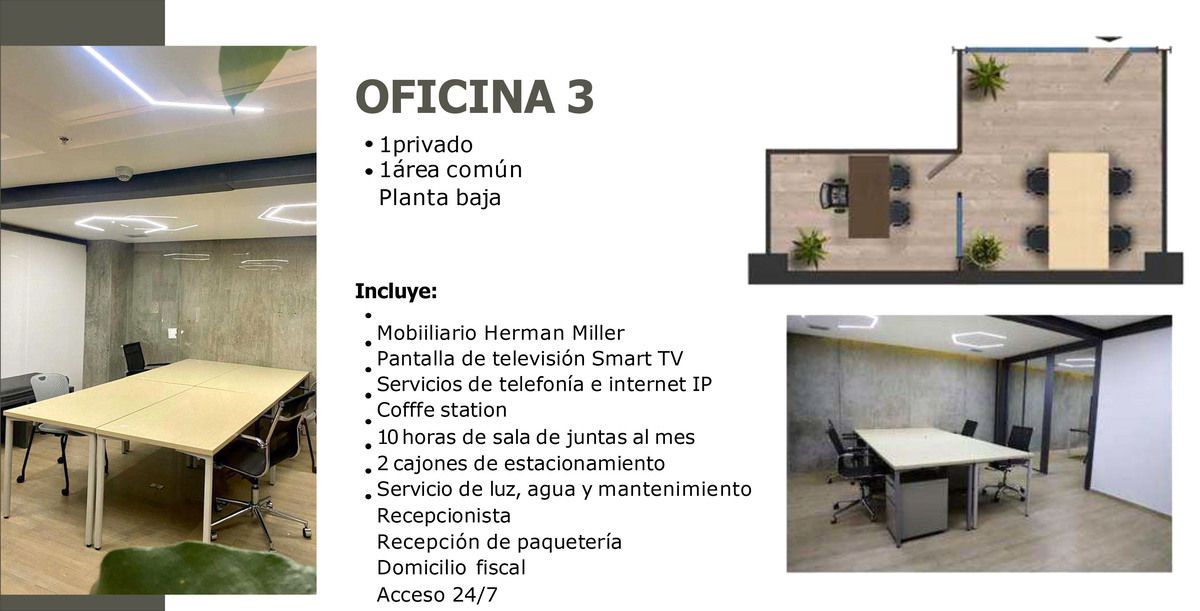 Imagen 8 de 10