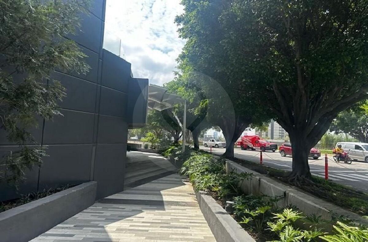 9 de 20