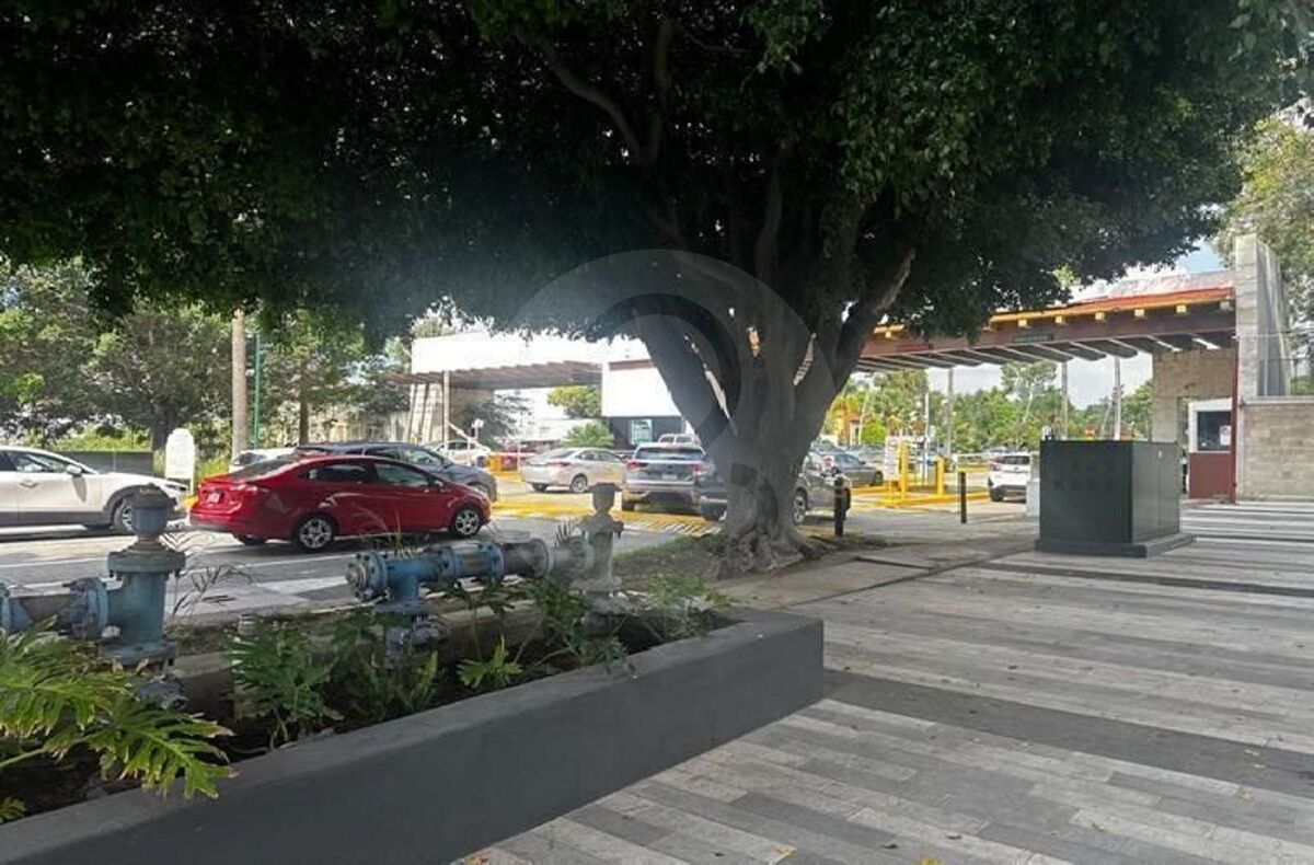 11 de 20