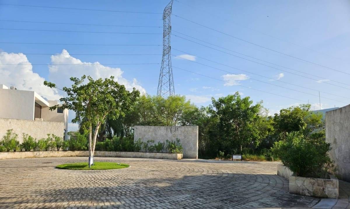 3 de 11