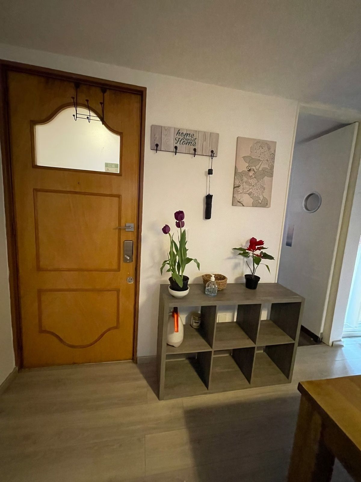 2 de 29: Puerta principal