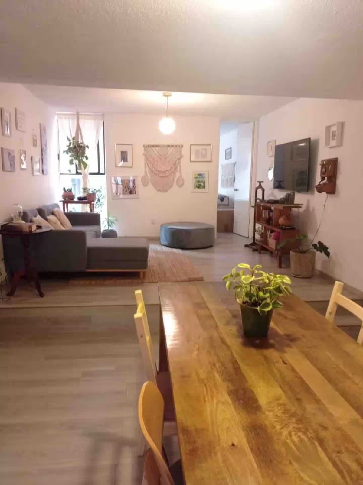 9 de 29: Sala comedor