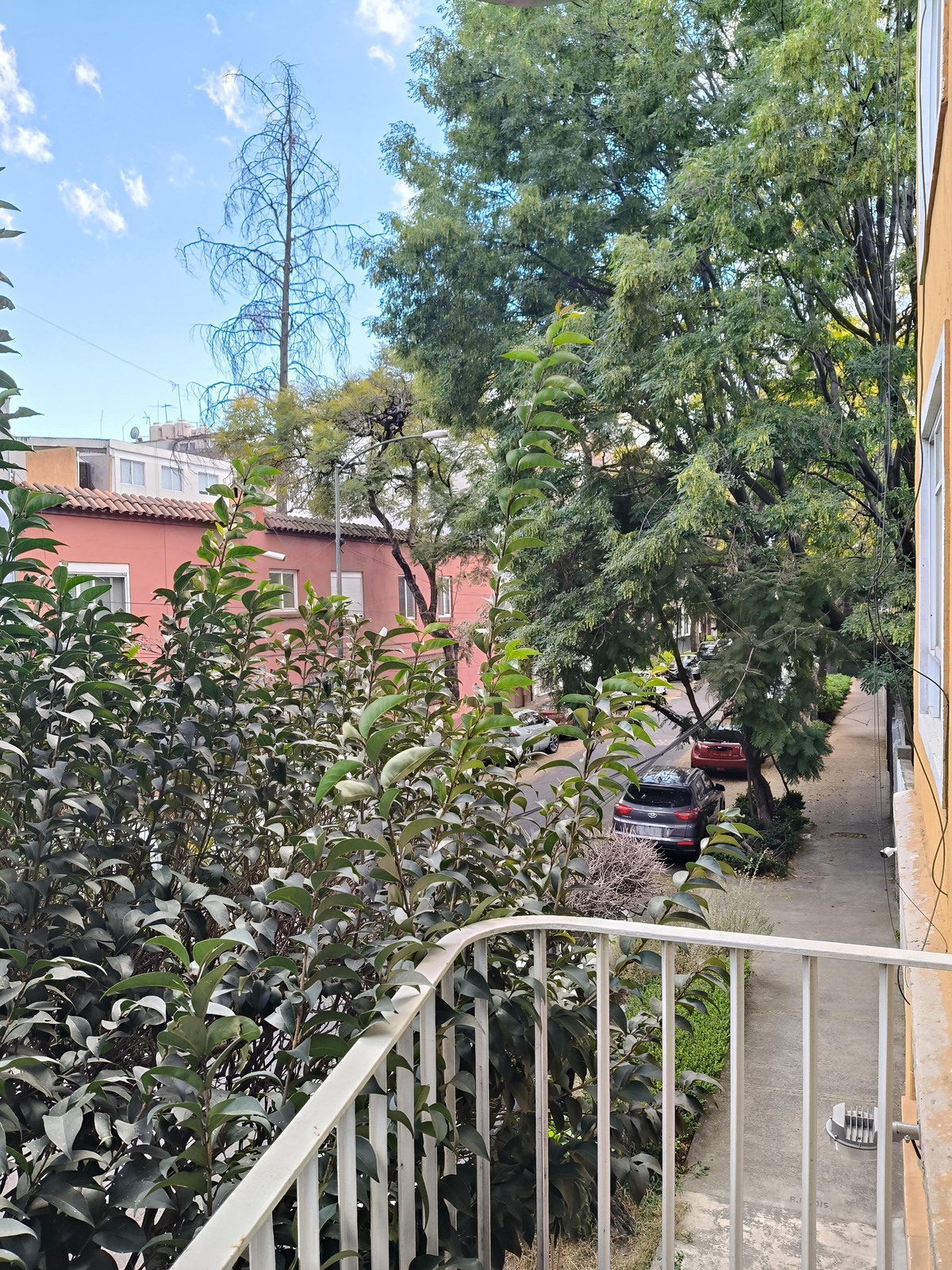 1 de 30: Vista desde el balcón