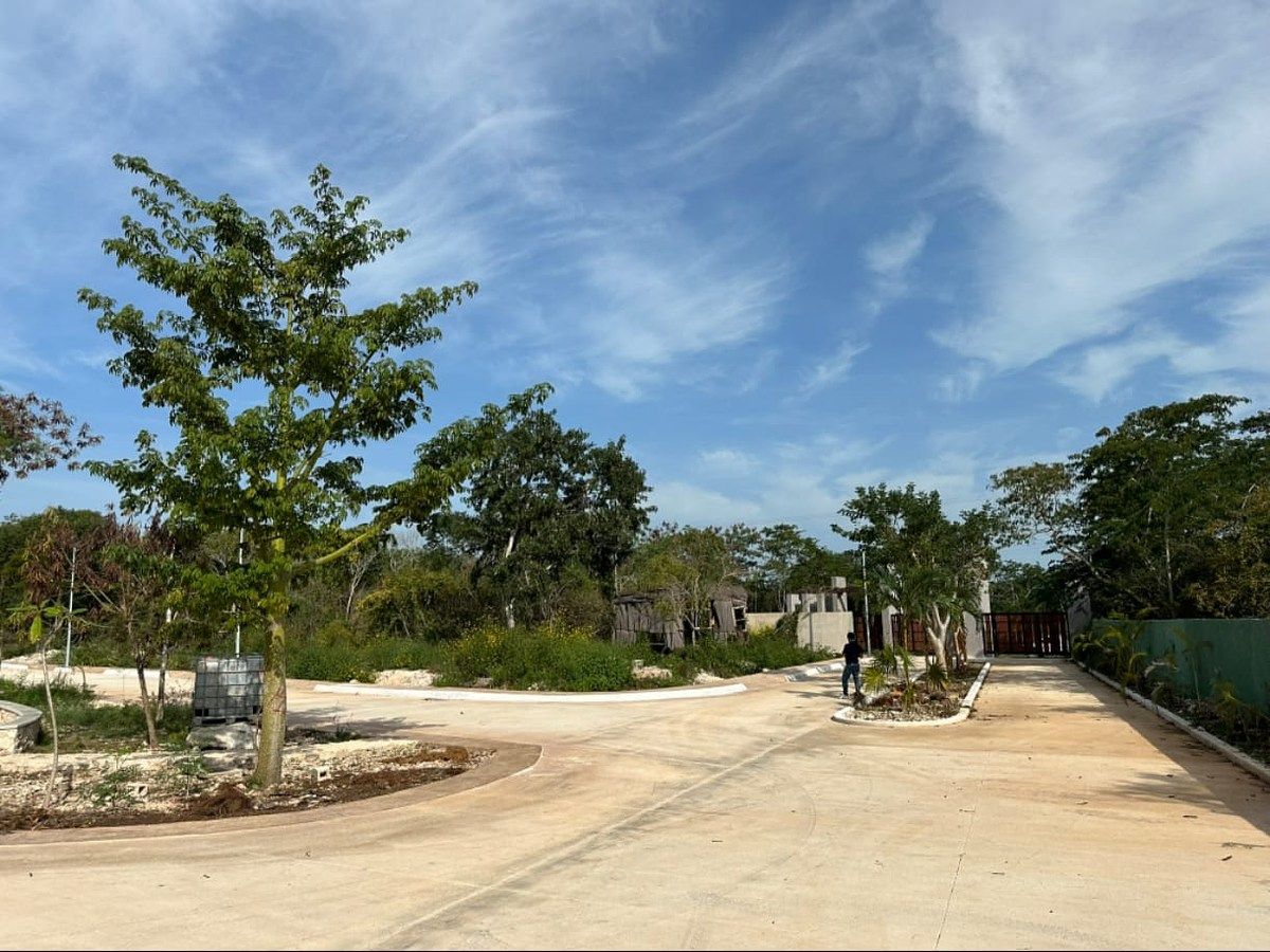 Lote em Chablekal, Mérida, foto 10 de 11