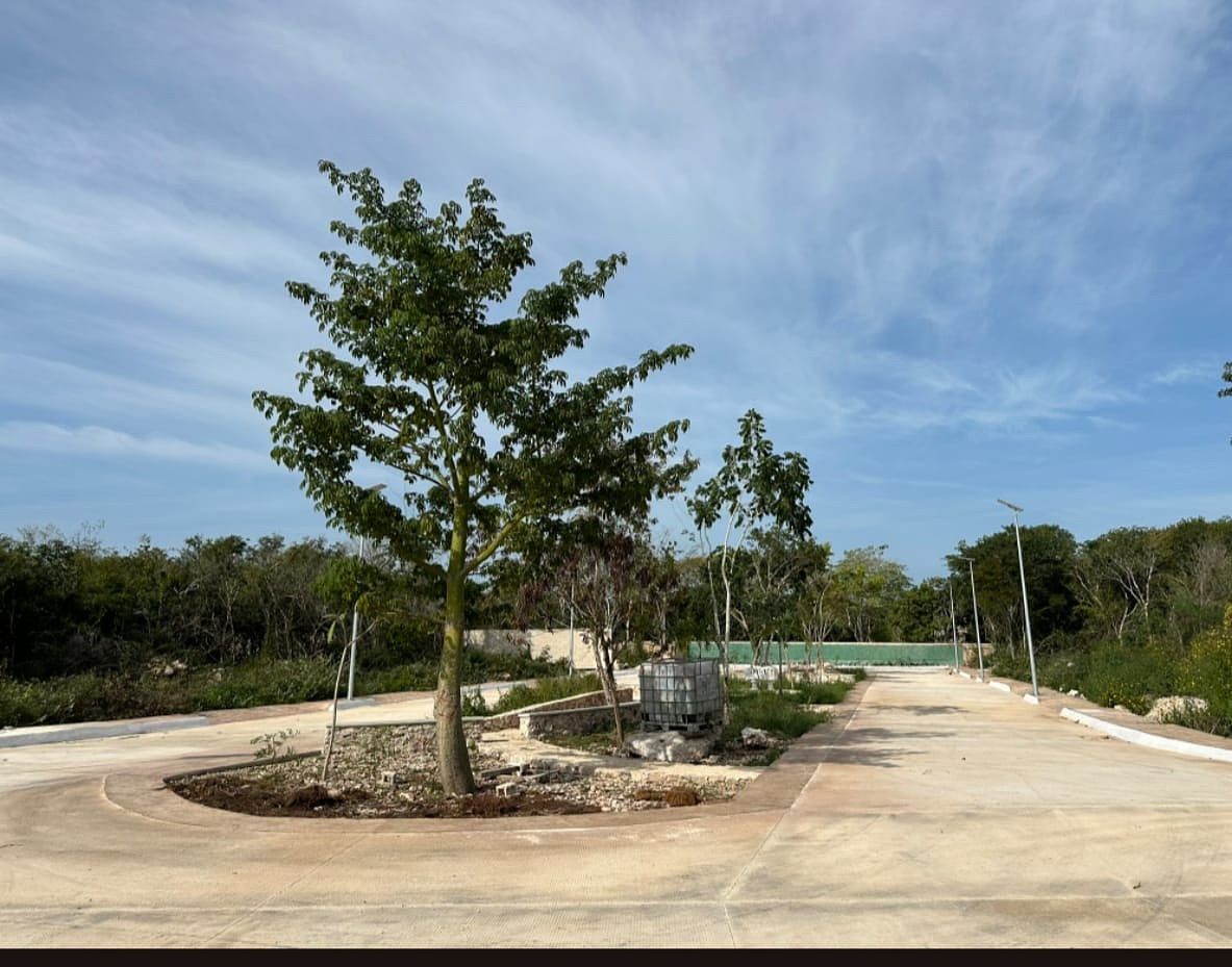 Lote em Chablekal, Mérida, foto 11 de 11