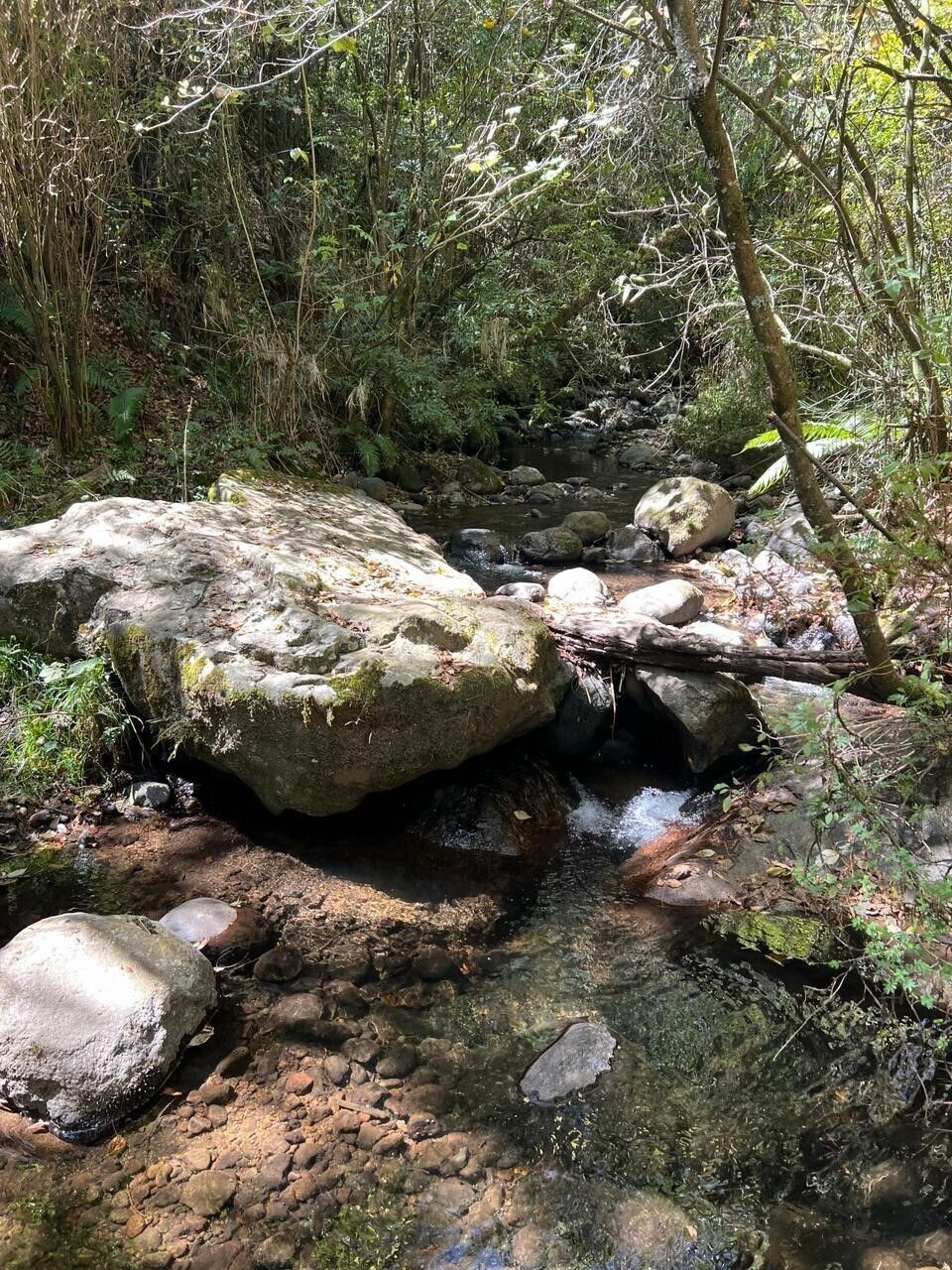 2 de 4