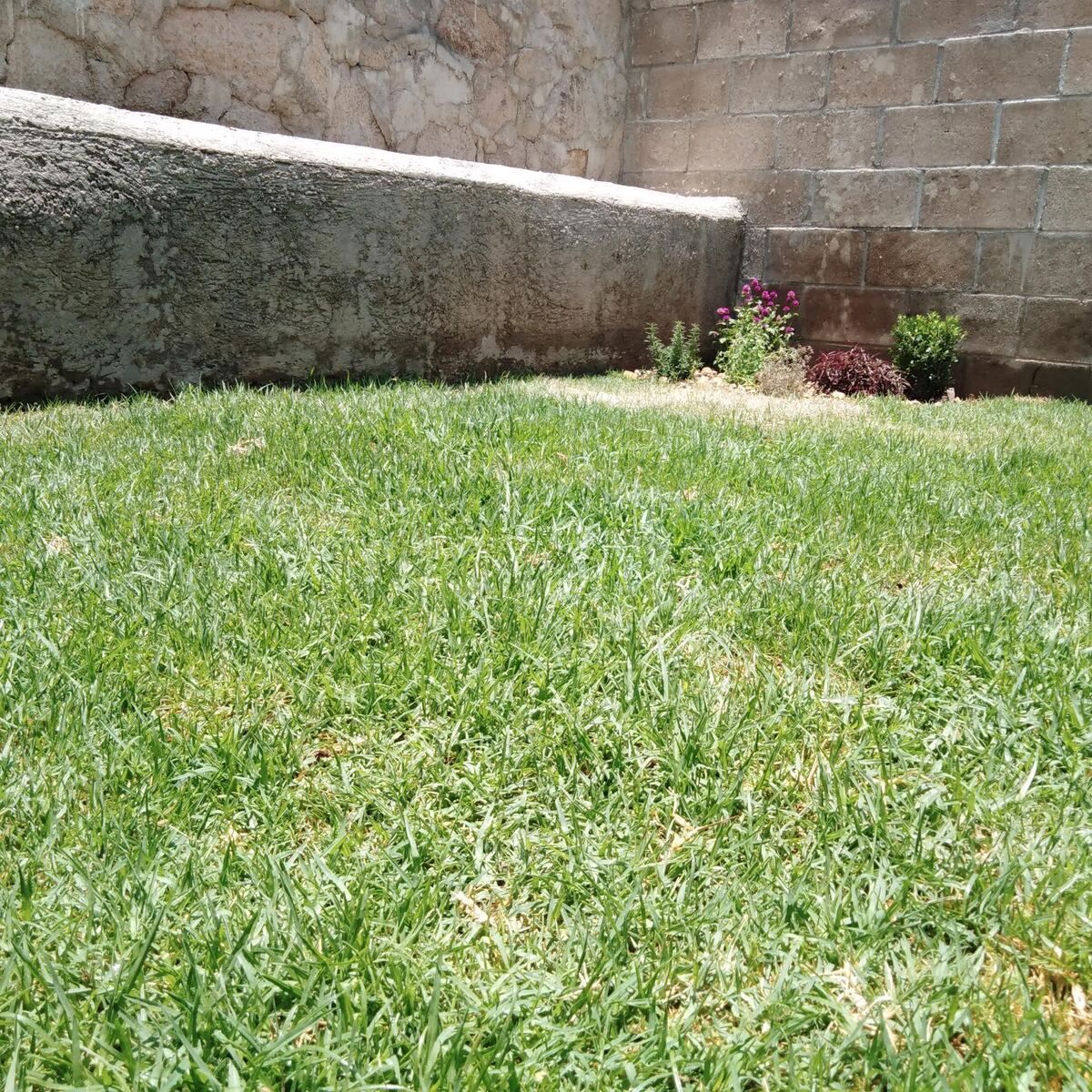23 de 29