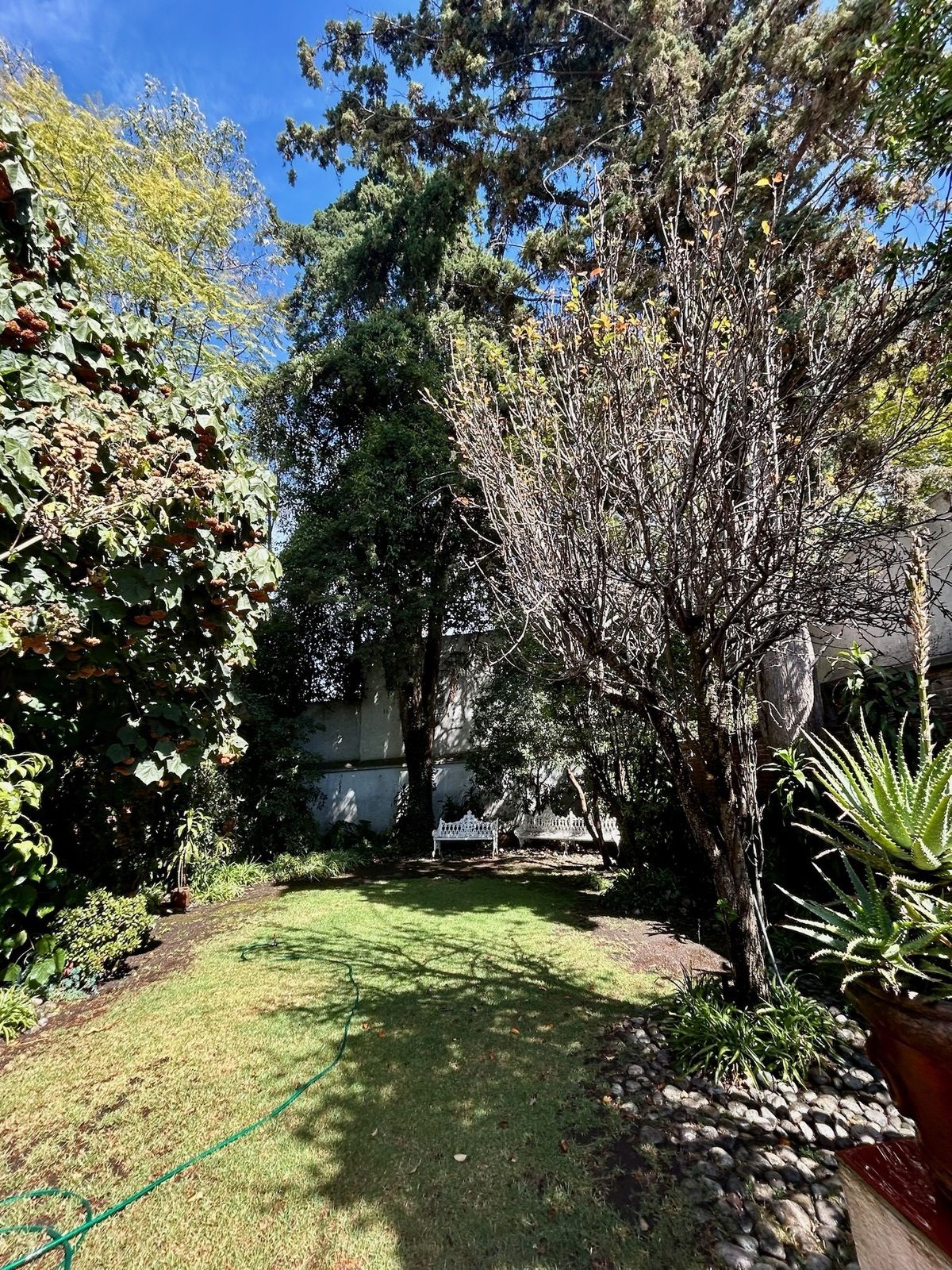 2 of 45: Jardín