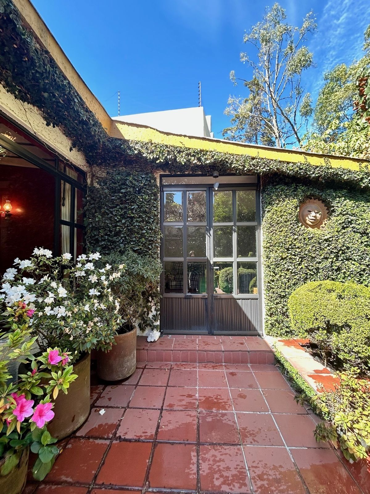 1 de 45: Salida al jardín por estancia familiar