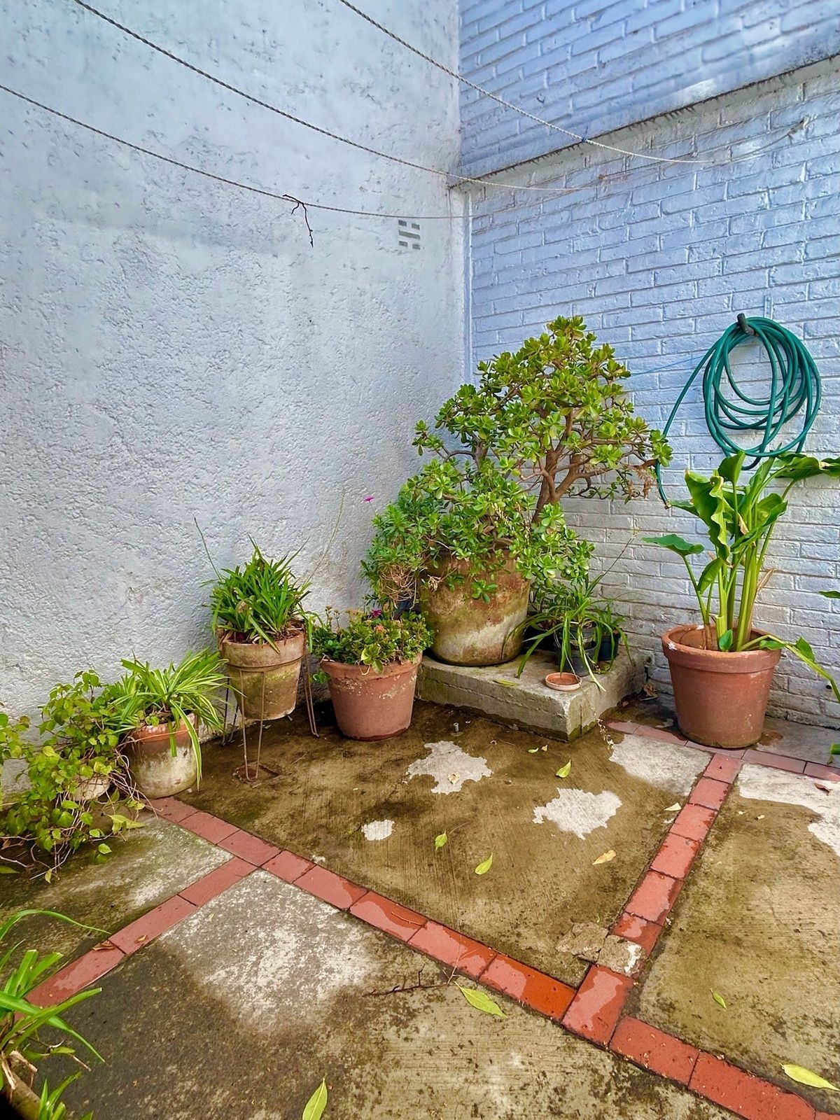 22 de 45: Patio de tendido