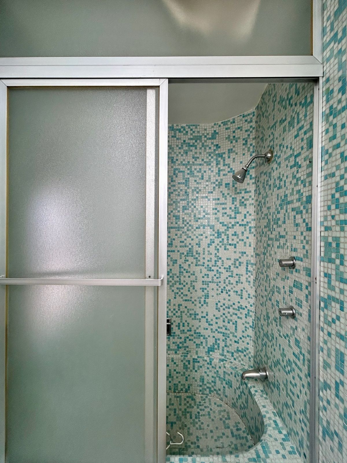 26 de 45: Tina / regadera