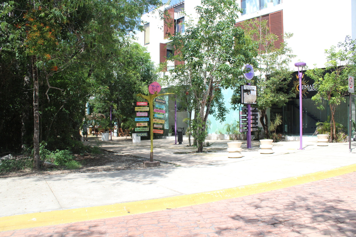 3 de 12